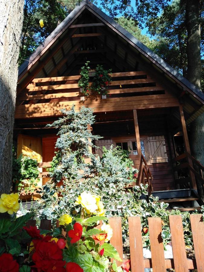 Chatki Saturnina I Pokoje Swinoujscie Exterior foto